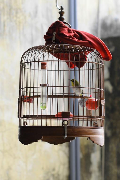 Tuti Tong Dan Homestay Hanoi Zewnętrze zdjęcie